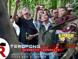 Menhut Raja Juli Antoni Tinjau Penyadapan Nila Aren dan Produksi Gula Semut di Tomohon