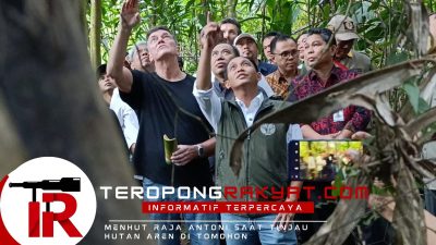 Menhut Raja Juli Antoni Tinjau Penyadapan Nila Aren dan Produksi Gula Semut di Tomohon