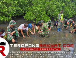 LISAN Indonesia Bersama TNI dan Masyarakat Tanam 350 Pohon di Pesisir Pantai Bahowo