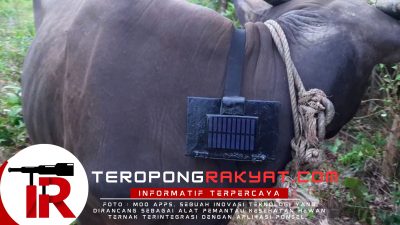 Dukung Asta Cita Presiden Prabowo, Inovasi Mahasiswa UPER Raih Juara Hackathon Taiwan