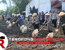Polda Sulut dan Jajaran Serentak Tanam Jagung Untuk Mendukung Ketahanan Pangan Nasional 