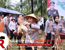 Wakapolda Sulut Brigjen Pol Bahagia Dachi Pimpin Panen Raya Jagung di Manado