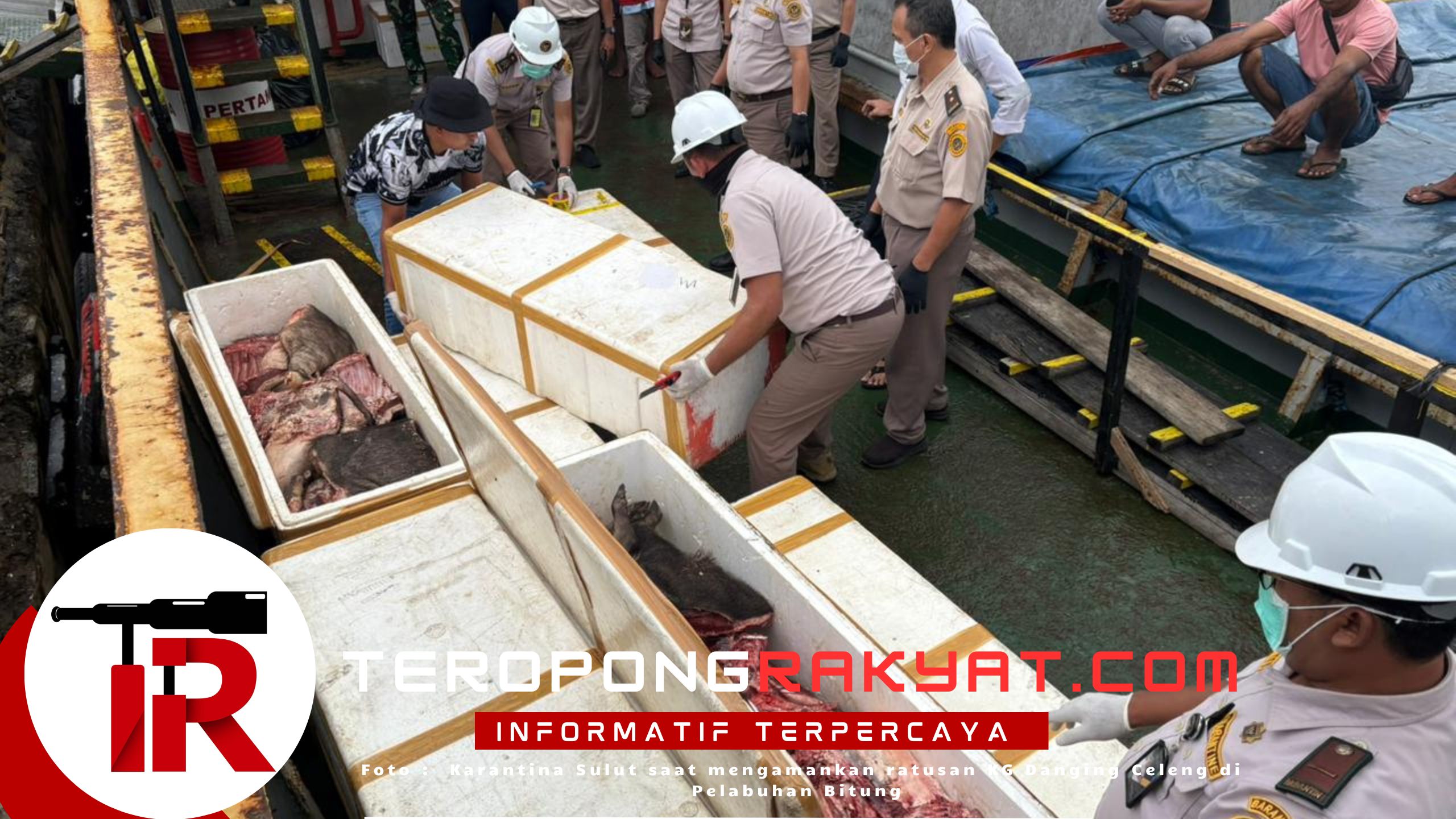 Karantina Sulut Gagalkan Masuknya 800 Kg Daging Celeng di Pelabuhan Bitung