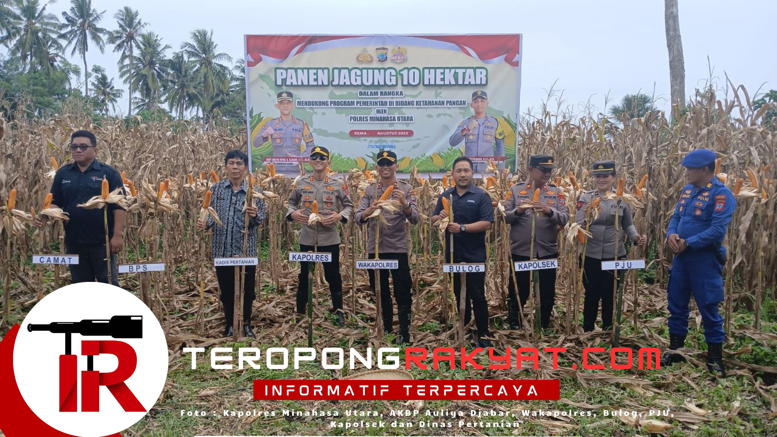 Polres Minahasa Utara Gelar Panen Raya Jagung Dukung Ketahanan Pangan