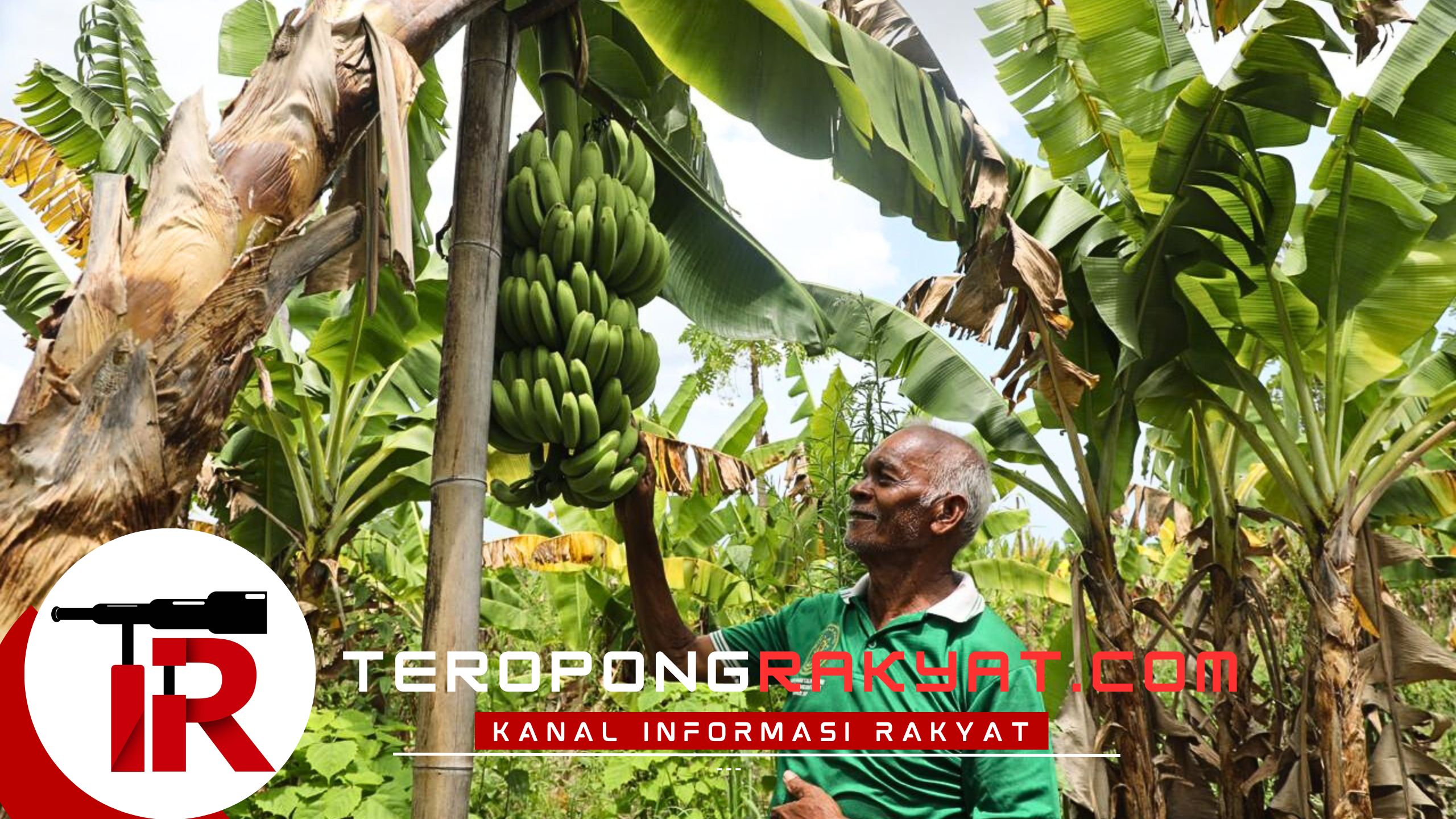 Reforma Agraria Ubah Pola Pikir Warga Desa Baumata di Kabupaten Kupang, Hasilkan Peningkatan Penghasilan Petani
