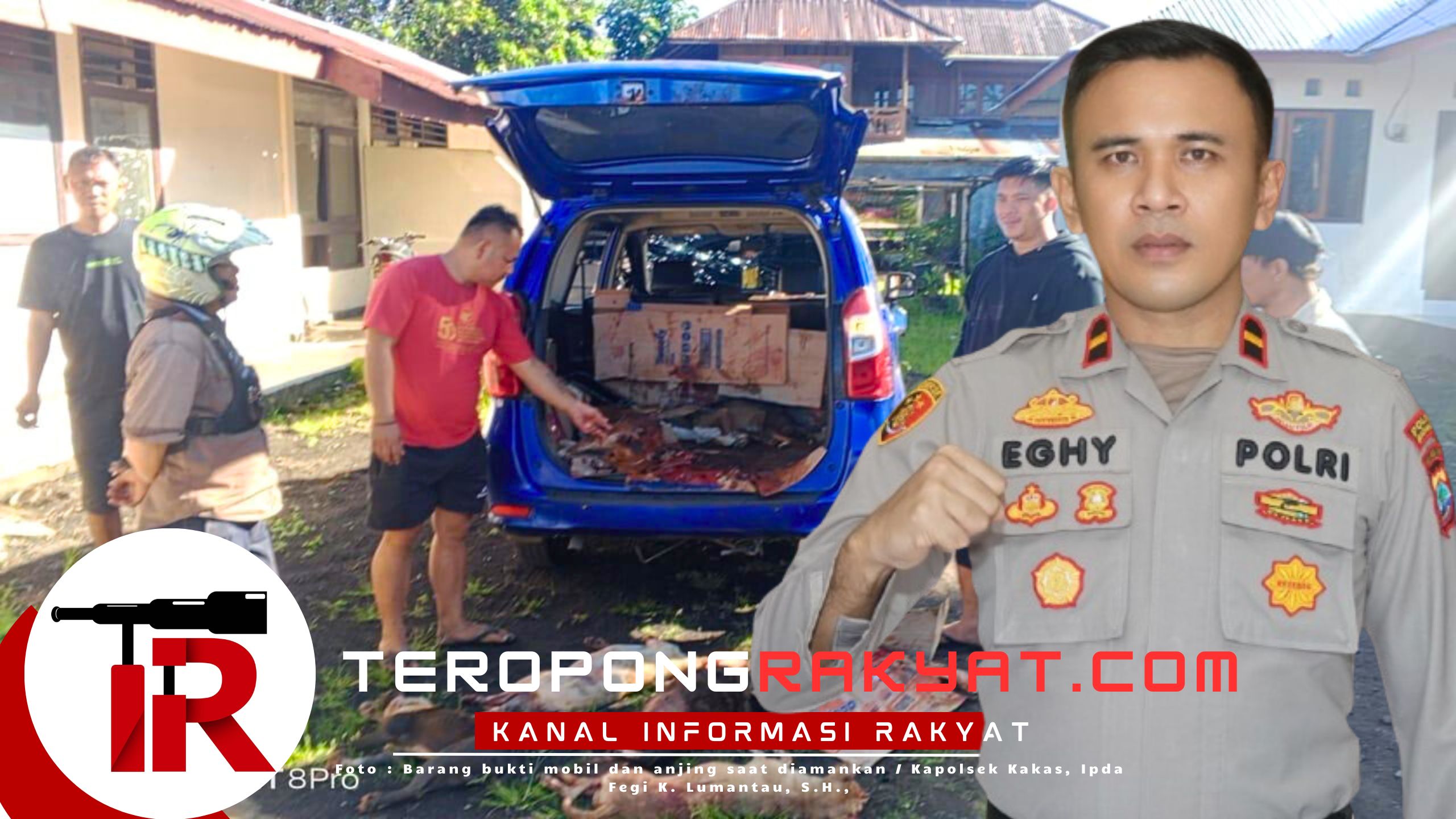 Kapolsek Kakas : Aksi Doger Anjing di Paso Terbongkar Usai Laka Lantas, Pelaku Bersenjata Tajam Kabur Usai Tikam Warga