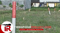 Tips Menjaga Tanah Agar Tidak Diserobot, Ini Langkah Penting dari ATR/BPN