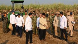 Presiden Prabowo dan Menteri Nusron Hadiri Panen Raya di Malang