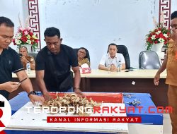 Lelang Sarang Walet Gua Kalama di Sangihe Gagal, Pemda Sangihe Siap Buka Penawaran Baru