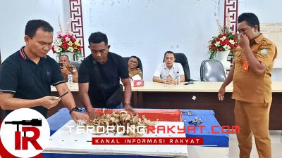 Lelang Sarang Walet Gua Kalama di Sangihe Gagal, Pemda Sangihe Siap Buka Penawaran Baru