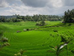 Kementerian ATR BPN Mencatat Penetapan LP2B Mencapai 87,63 Persen pada HANTARU 2026