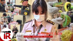 Petugas Karantina Gagalkan Penyeludupan 17 Ular Papua Tanpa Dokumen di Bawah Ranjang KM Sinabung