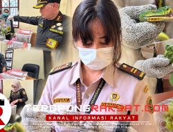 Petugas Karantina Gagalkan Penyeludupan 17 Ular Papua Tanpa Dokumen di Bawah Ranjang KM Sinabung